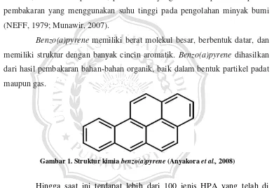 Gambar 1. Struktur kimia benzo(a)pyrene (Anyakora et al., 2008) 