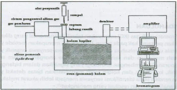 Gambar 2. Diagram skematik pada KG (Gandjar dan Rohman, 2007) 