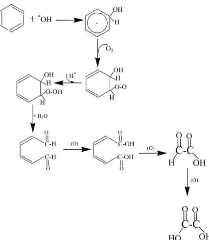 Gambar 5 menunjukkan  Radikal hidroksil adalah radikal utama yang melakukan  inisiasi degradasi pada gugus utama senyawa azo, dengan memhangsilkan radikal  fenil dan fenoksi