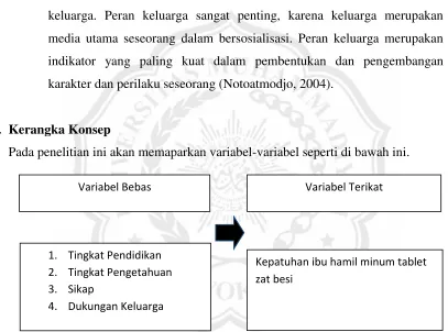 Gambar 1. Kerangka Konsep 