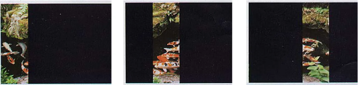 Gambar 6 Shutter yang bertipe focal plane dengan 5 posisi lempengan 