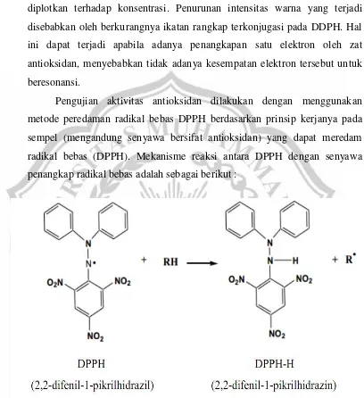 Gambar 2.2 Reaksi DPPH dari senyawa peredam radikal bebas 