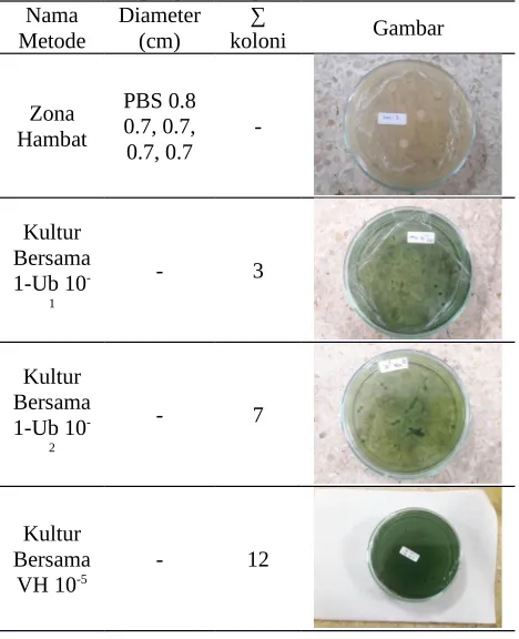 Tabel 2. Hasil pengamatan probiotik untuk kesehatanNamaDiameter∑