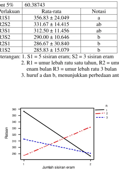 Gambar 2. Interaksi antara umur lebah ratu dan jumlah sisiran eram pada awal                                    musim bunga 