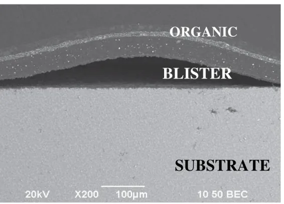Gambar 2.3 Morfologi cacat blister pada organic coating (Liu, 2014) 