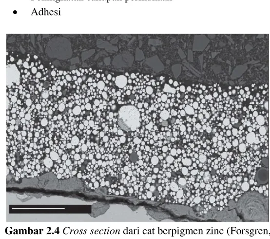 Gambar 2.4 Cross section dari cat berpigmen zinc (Forsgren, 