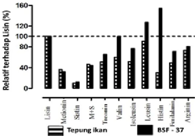 Gambar  6    Perbandingan  pola  asam  amino  antara  tepung  ikan  dan  larva  BSF  yang  telah  dikurangi kadar lemaknya (Elwert et al