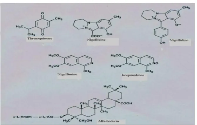 Gambar 3 Struktur Kimia SenyawaNigella sativa(sumber : Ali & Blunden,2003)