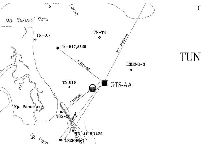 Gambar 1.1. Lokasi Jaringan Pipa Bawah Laut di Tunu Field 