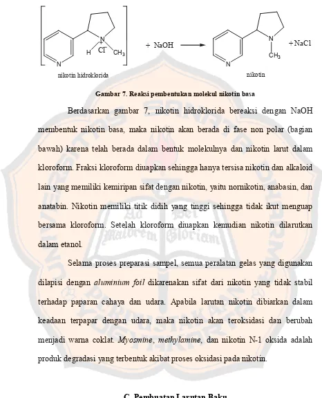 Gambar 7. Reaksi pembentukan molekul nikotin basa 