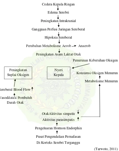 Gambar Pathway Cedera Kepala Ringan 