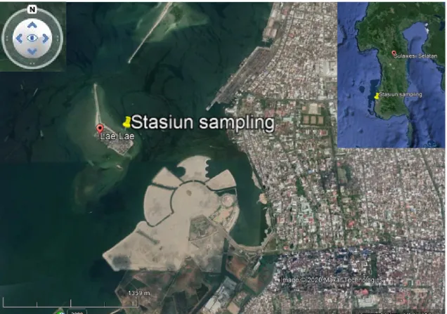 Gambar  1.  Peta  lokasi  pengumpulan  kerang  hijau,  Perna  viridisi  di  perairan  Pulau  Lae  Lae,  Makassar