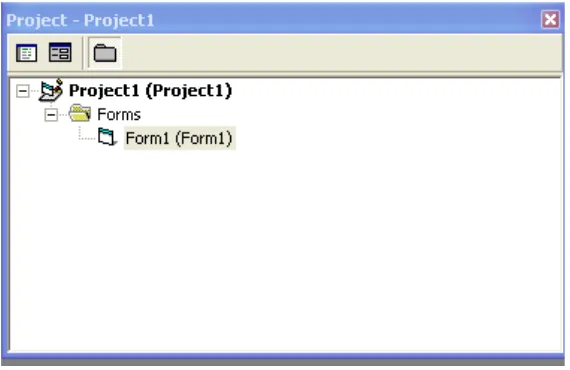 Gambar 2.3 Interface dari Project Explore 