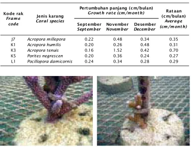 Table 3.Coral growth rate during research on wire frame between substrate