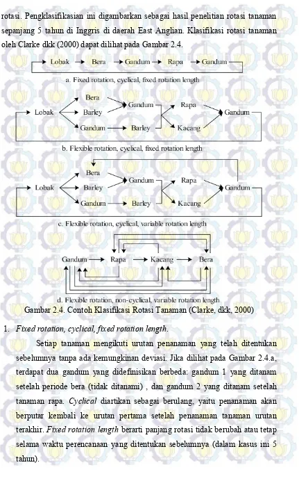 Gambar 2.4. Contoh Klasifikasi Rotasi Tanaman (Clarke, dkk, 2000) 