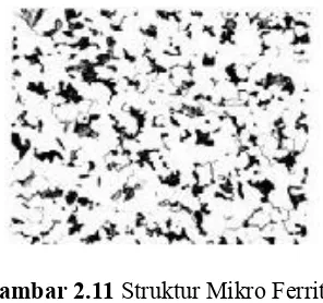 Gambar 2.11  Struktur Mikro Ferrit 