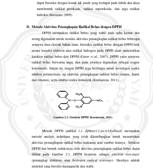 Gambar 2.2. Struktur DPPH (Kurniawan, 2011) 