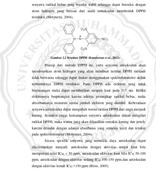 Gambar 2.2 Struktur DPPH (Kurniawan et al., 2012). 
