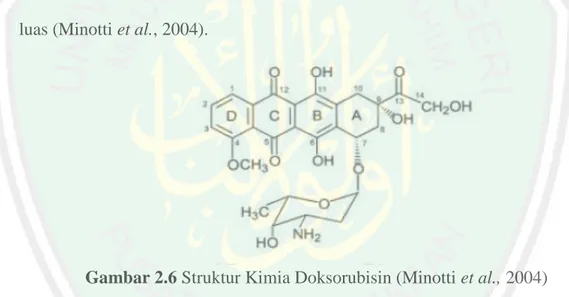 Gambar 2.6 Struktur Kimia Doksorubisin (Minotti et al., 2004) 