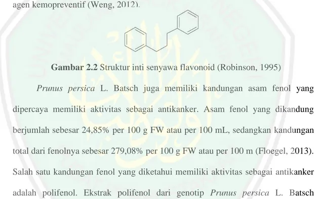 Gambar 2.2 Struktur inti senyawa flavonoid (Robinson, 1995) 