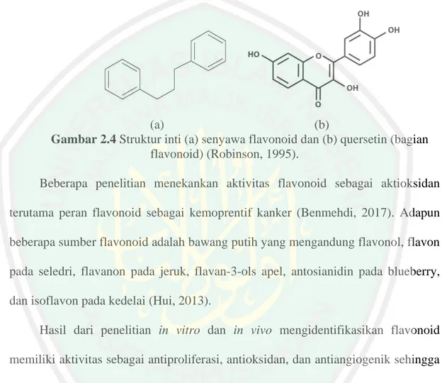 Gambar 2.4 Struktur inti (a) senyawa flavonoid dan (b) quersetin (bagian  flavonoid) (Robinson, 1995)
