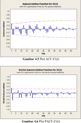Gambar 4.5 Plot ACF Z1(t) 