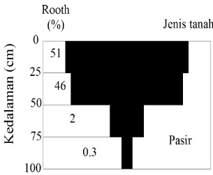 Gambar 1. Distribusi akar alfalfa dengan kedalaman air-tanah yang dangkal pada 75 sentimeter di bawah permukaan tanah (Hansen, dkk, 1992)