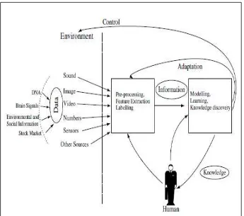 Gambar 2.14 Proses Interaksi ECOS (Kasabov, 2007) 