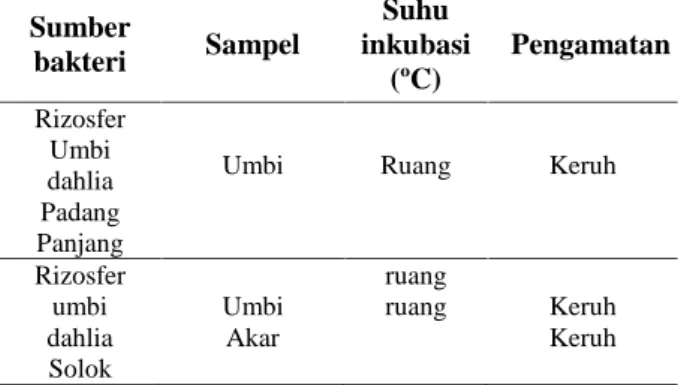 Tabel 1.  Suhu  inkubasi  seleksi  awal  sampel pada media seleksi inulin