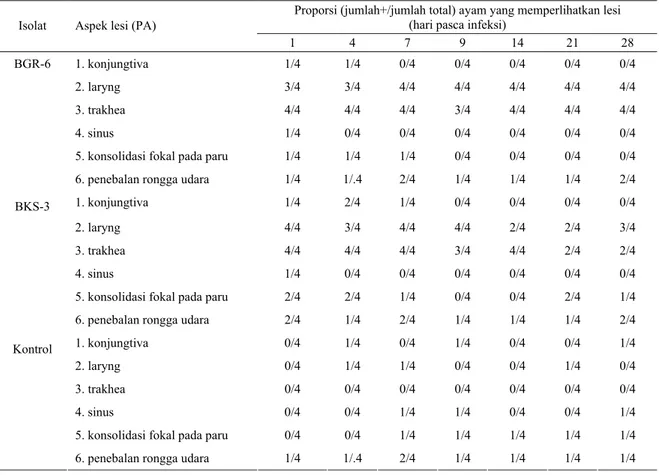 Tabel 2. Hasil pengamatan patologi anatomi ayam percobaan pasca infeksi isolat lapang virus ILT 