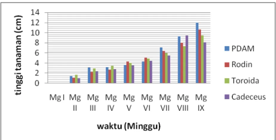Gambar 4. Grafik batang pertumbuhan tanaman cabai 