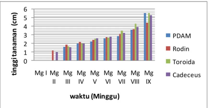Gambar 5. Grafik batang pertumbuhan tanaman terong 