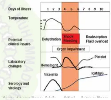 Figure 1. Course of dengue illness. (Yip WCL, 1980)6