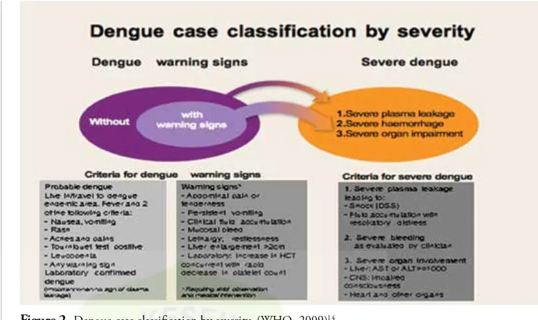 Figure 2. Dengue case classification by severity. (WHO, 2009)14