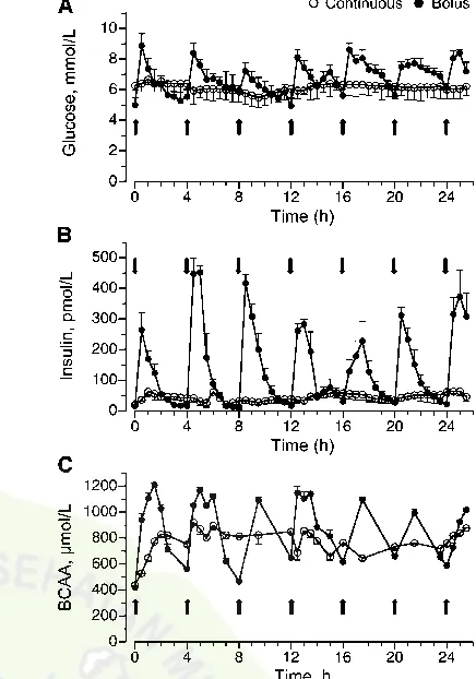 FIGURE 1Plasma glucose (A), insulin (B), and BCAA (C) concen-trations in intermittently bolus-fed, continuously fed, and feed-deprived neonatal pigs