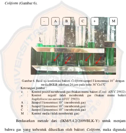 Gambar 6. Hasil uji konfirmasi bakteri Coliform sampel I konsentrasi 10-1 dengan 