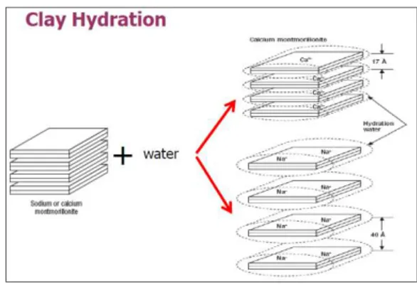 Gambar 3. Clay Hydration 