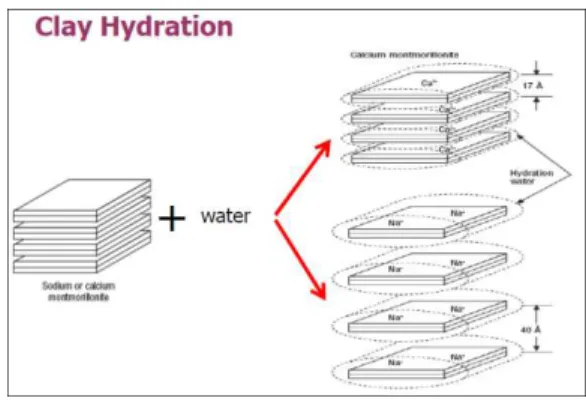 Gambar 3. Clay Hydration 