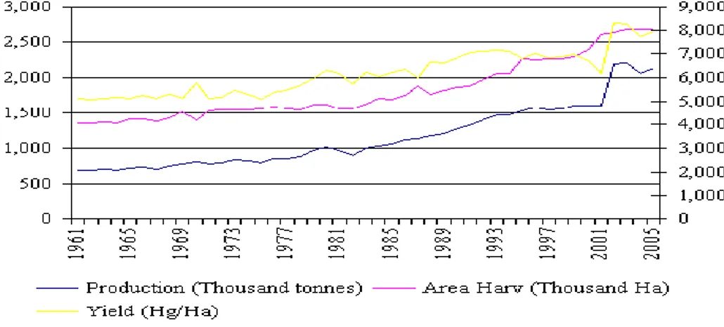 Grafik 2.  Luas Areal Perkebunan Karet, Produksi dan Hasil per  Hektar    Tahun 1961-2005 