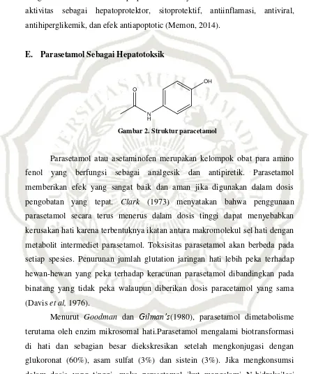 Gambar 2. Struktur paracetamol 