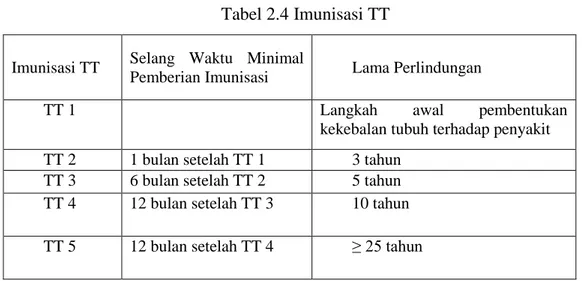 Tabel 2.4 Imunisasi TT  Imunisasi TT  Selang  Waktu  Minimal 