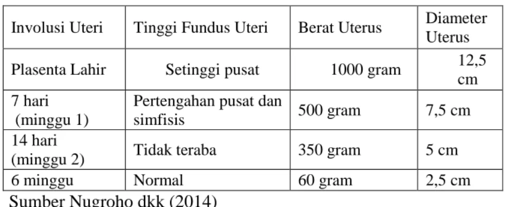Tabel 2.6 Involusi Uterus 