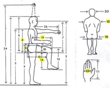 Gambar 2. Dimensi antropometri 