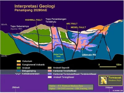 Gambar   3.   Interpretasi Penampang Geologi daerah Mesel Section 20280 mE 