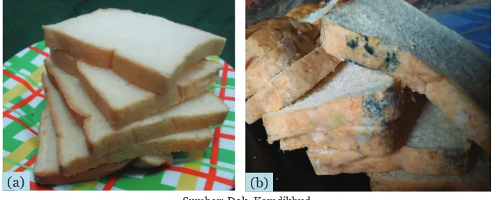 Gambar 5.6  (a) Roti Tawar, (b) Roti Tawar yang Sudah Berjamur