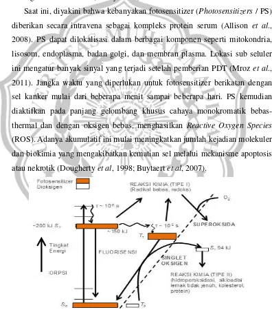 Gambar 2. Mekanisme pembentukan produk oksigen reaktif (dimodifikasi dari 
