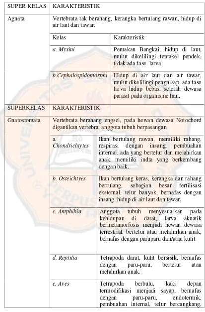 Tabel 2.1. Bagan Karakteristik Subfilum Vertebrata