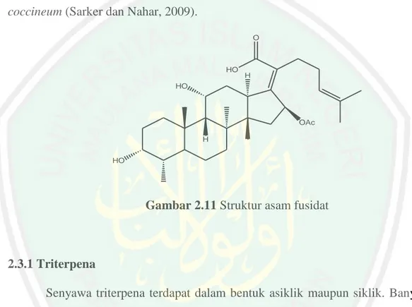 Gambar 2.11 Struktur asam fusidat 