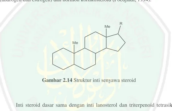 Gambar 2.14 Struktur inti senyawa steroid  