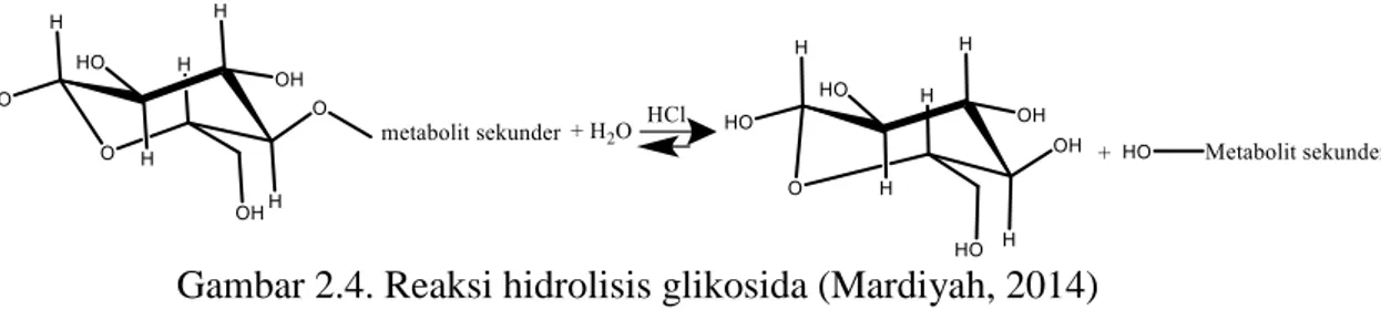 Gambar 2.4. Reaksi hidrolisis glikosida (Mardiyah, 2014) 